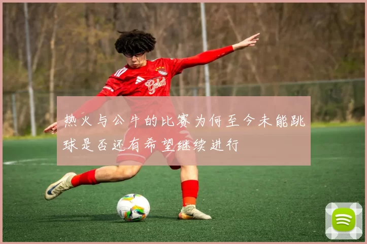热火与公牛的比赛为何至今未能跳球是否还有希望继续进行